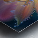 Ephemeral Dew: A Moment of Floral Beauty Metal print