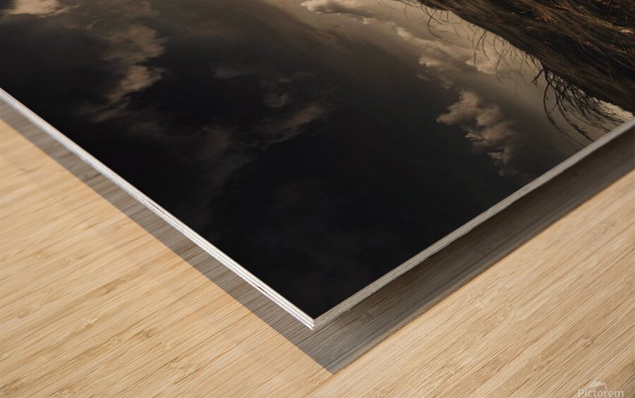 Autumn Forest Path: Serene Nature Landscape Photography Wood print