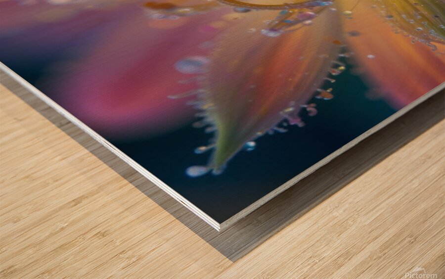 Ephemeral Dew: A Moment of Floral Beauty Wood print