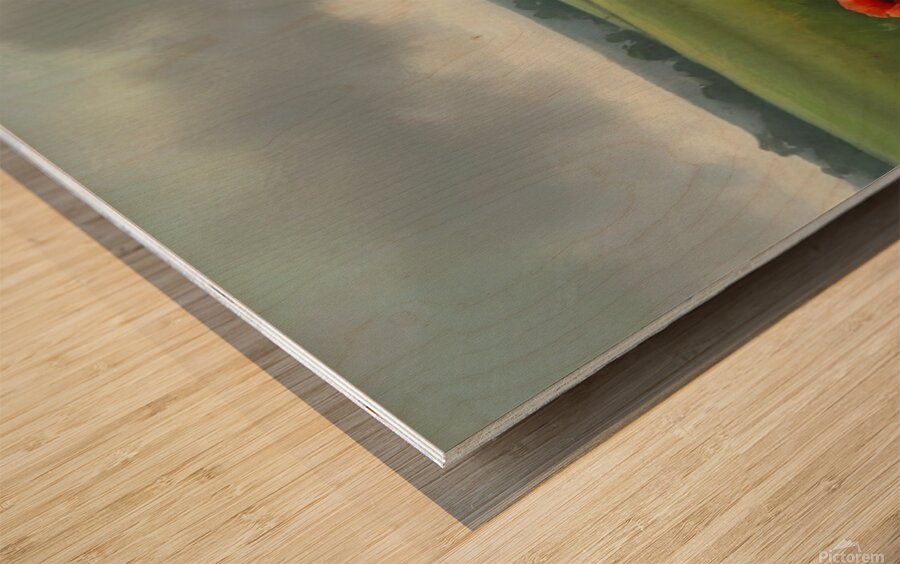  Dramatic Landscape with Dark Trees and Stormy Sky Wood print