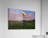 The Fence Acrylic Print