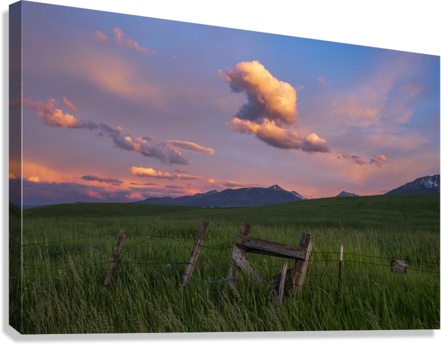 The Fence Canvas Print