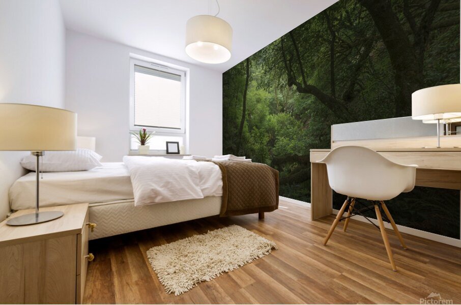 Myrtlewood Tree Mural print