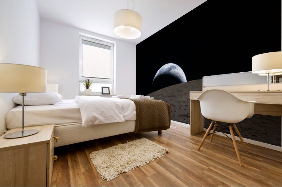 Earthset Mural print