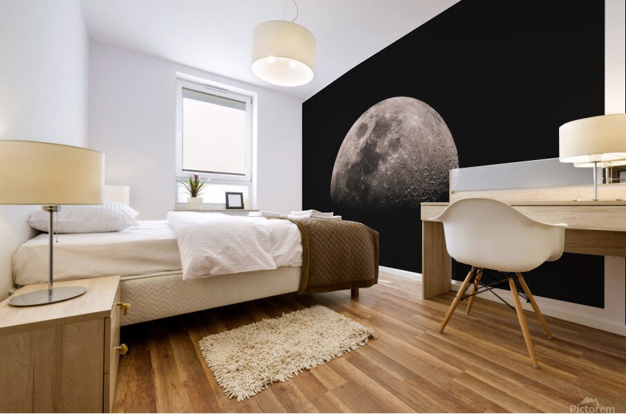 MOON Mural print