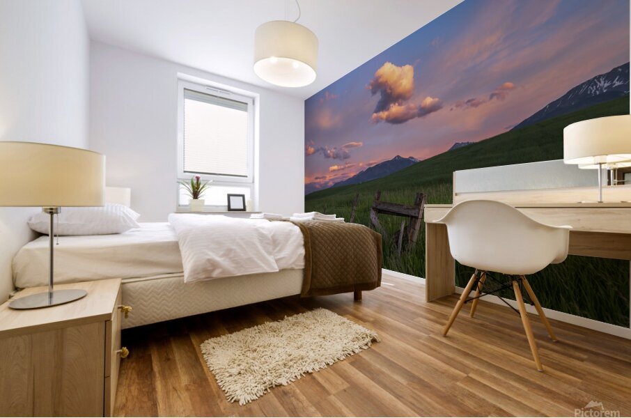 The Fence Mural print