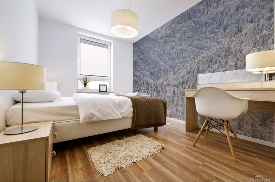 Light Snow Mural print