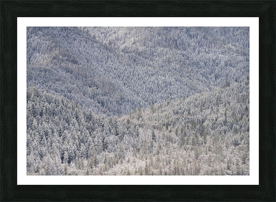 Light Snow Picture Frame print