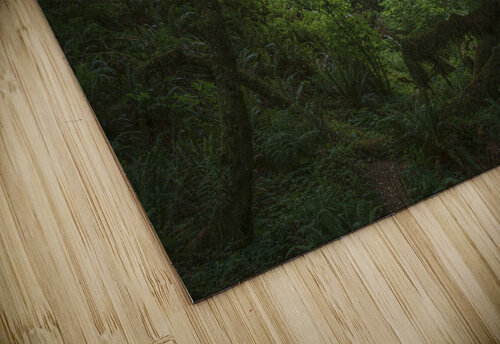 Myrtlewood Tree Northwest Photoz puzzle