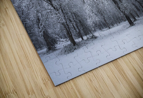 Winter Oaks 1 Northwest Photoz puzzle