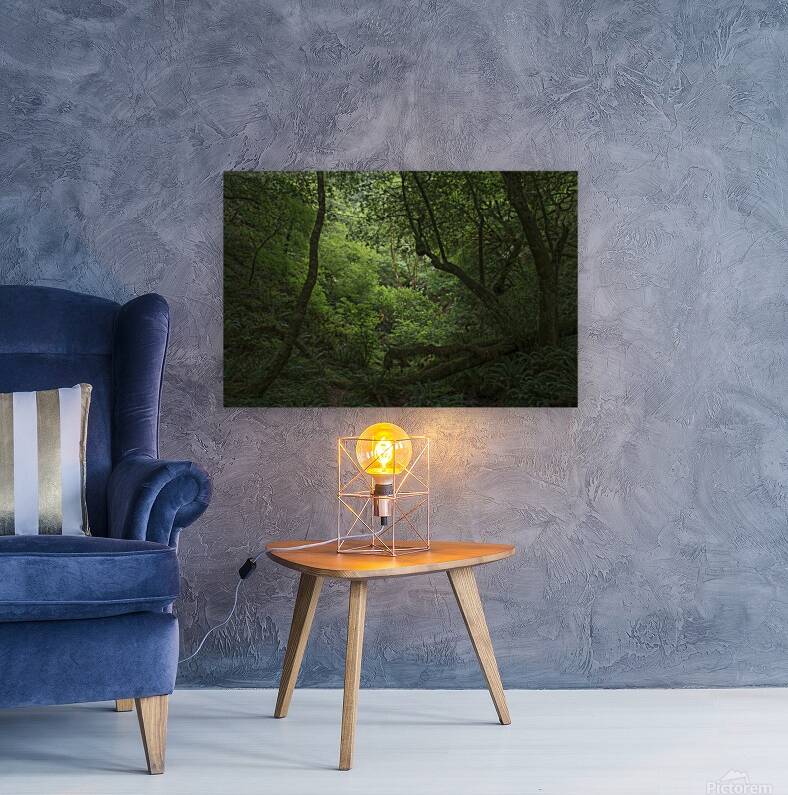 Myrtlewood Tree Reproduction