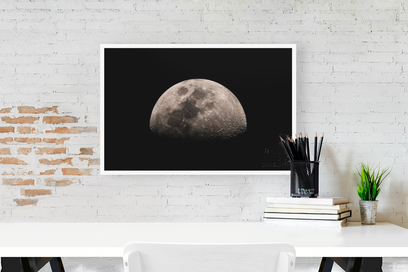 MOON Reproduction