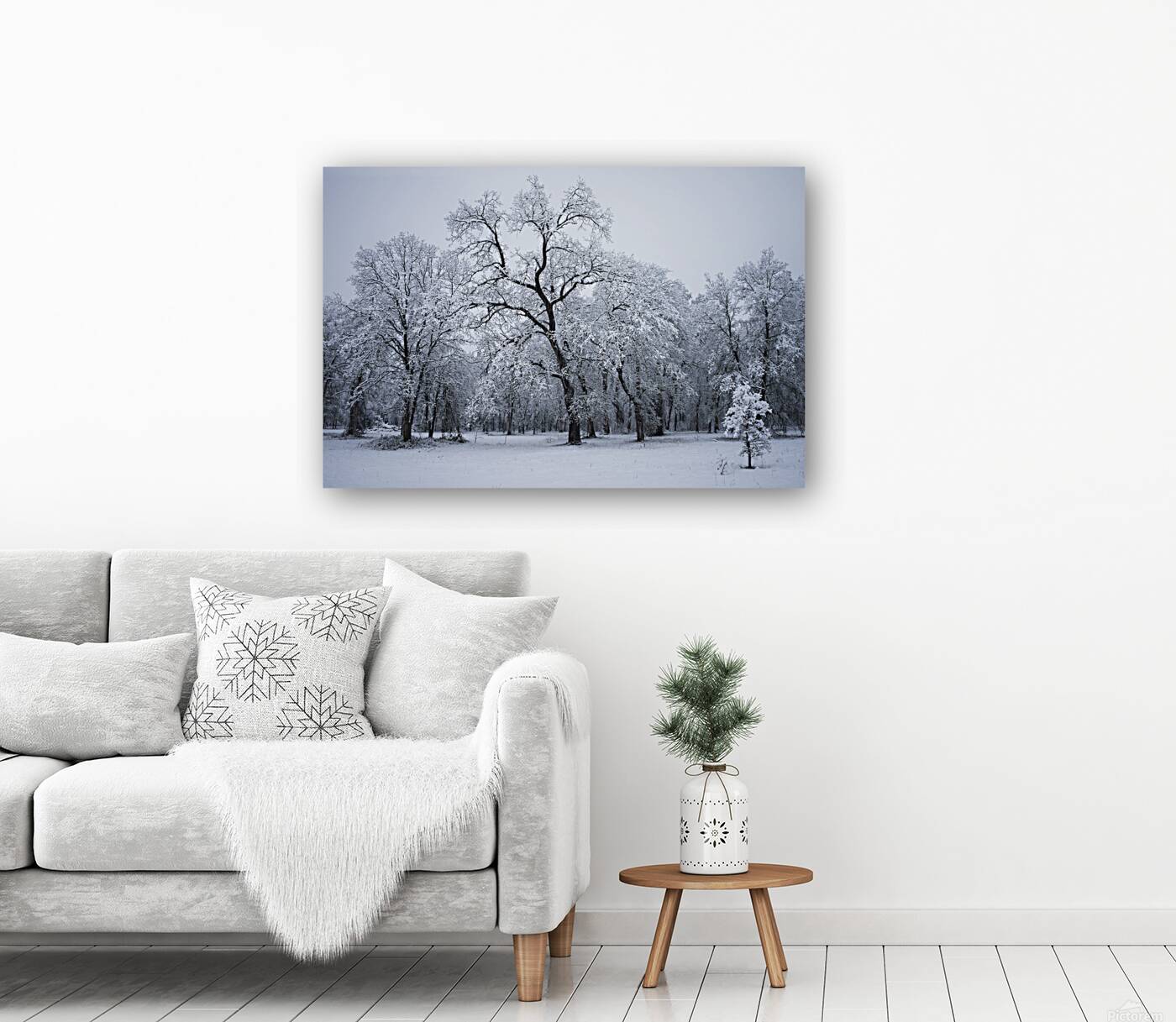Winter Oaks 1 Reproduction