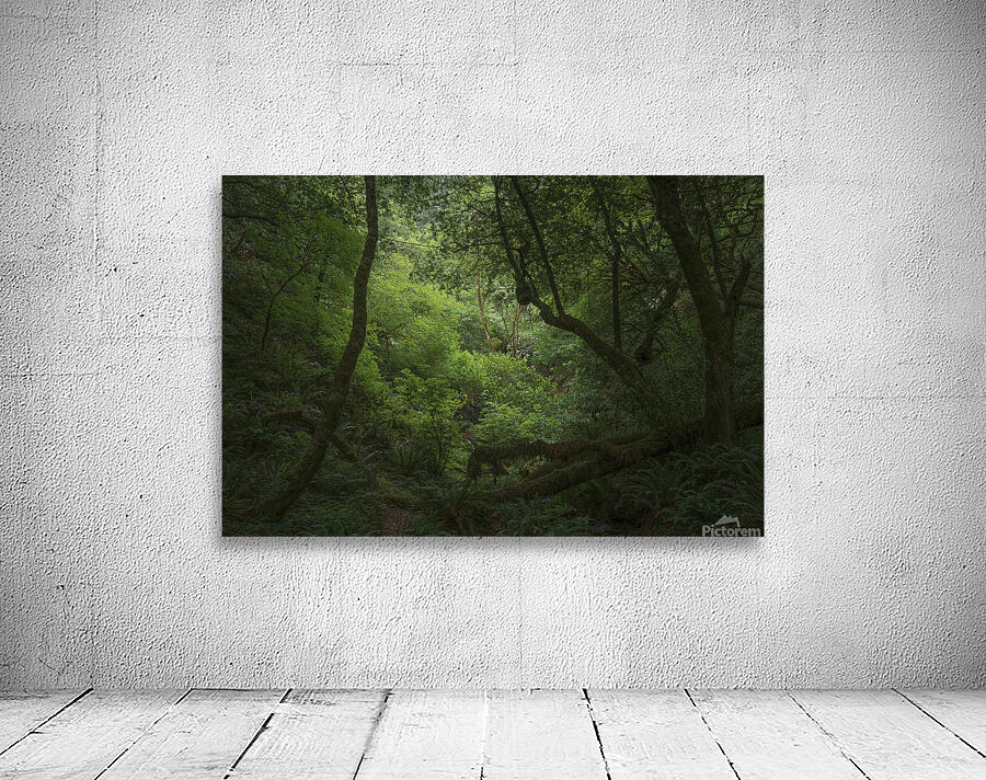 Myrtlewood Tree Wall Preview