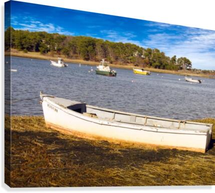 Row Boat Canvas Print
