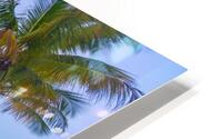 Tropical Beach Pathway HD Metal print