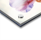 Blossom I Acrylic print