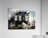 Zephyr Acrylic Print