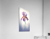 Blossom I Acrylic Print