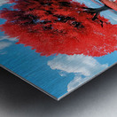 Scarlet Shore Metal print