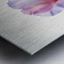 Blossom I Metal print