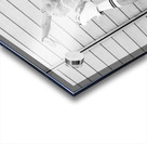 The Play Acrylic print