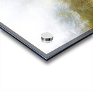 Impressionistic birch Acrylic print