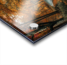 Road to fall Acrylic print