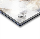 2229658 Acrylic print