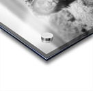 Two kings Acrylic print