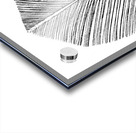 Feather Acrylic print