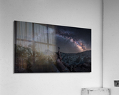 Toadstool Night Acrylic Print