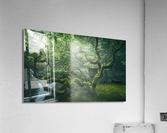 Japanese Tree Acrylic Print