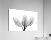 Trinity Acrylic Print