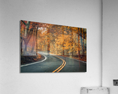 Road to fall Acrylic Print