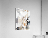 2229658 Acrylic Print