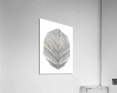 Feather Acrylic Print