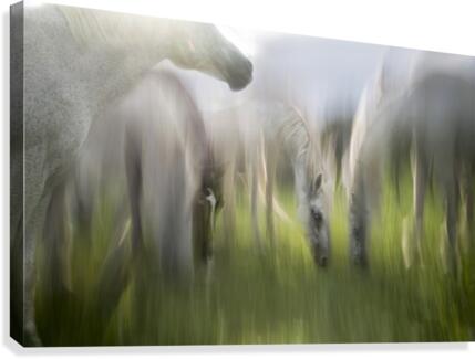 Impression by milan malovrh 