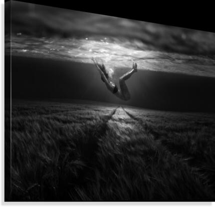 Underwaterlandream
