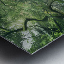 Japanese Tree Metal print