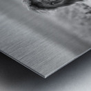 Two kings Metal print