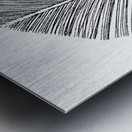 Feather Metal print