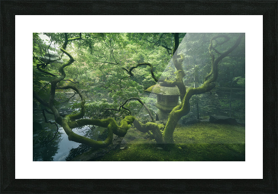 Japanese Tree Picture Frame print