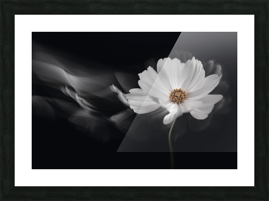 Symphony White Picture Frame print