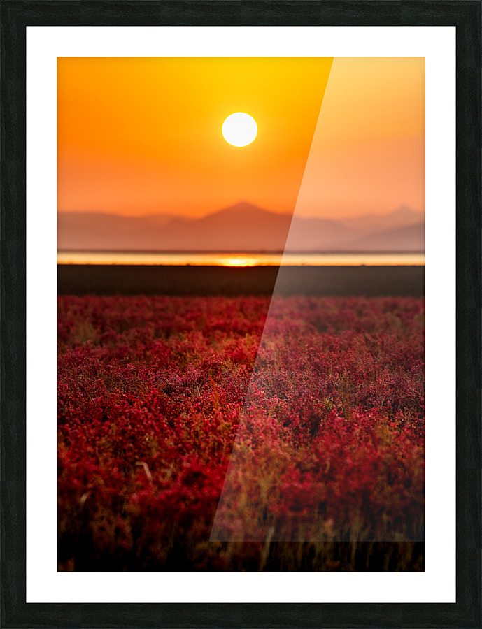 sunset Picture Frame print