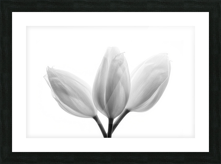 Trinity Picture Frame print