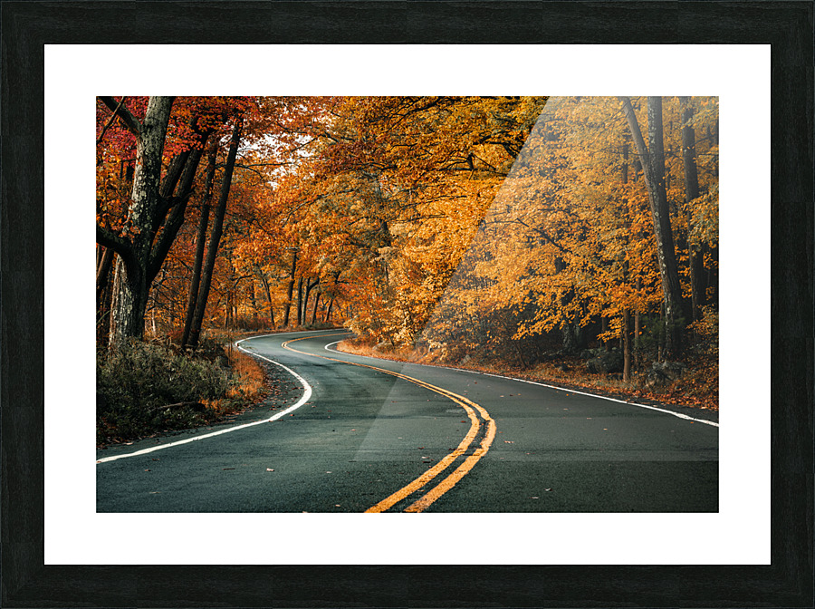 Road to fall Picture Frame print