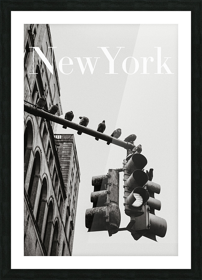 2365333 Picture Frame print