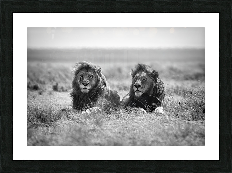 Two kings Picture Frame print