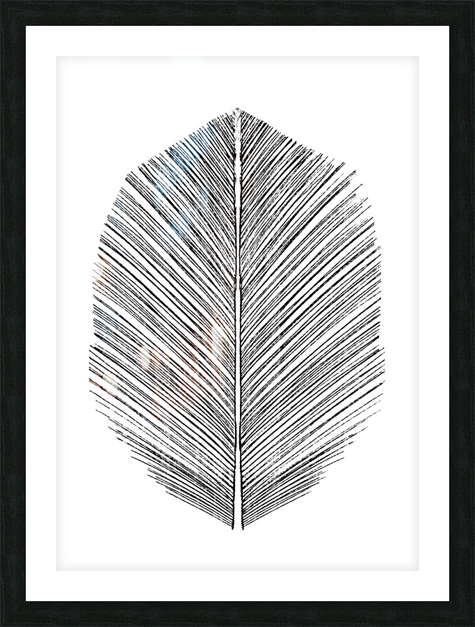 Feather Picture Frame print